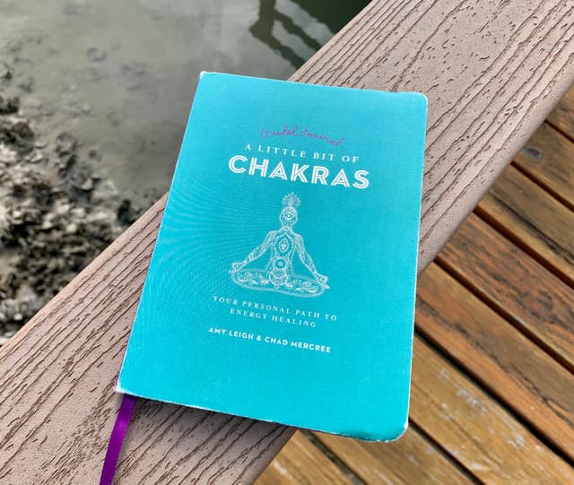 I Didn't Expect a Chakra Journal by 'Amy & Chad' to be this Insightful