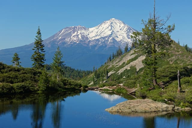 22 Miles of Yellowstone Bear Country and Boiling Geysers