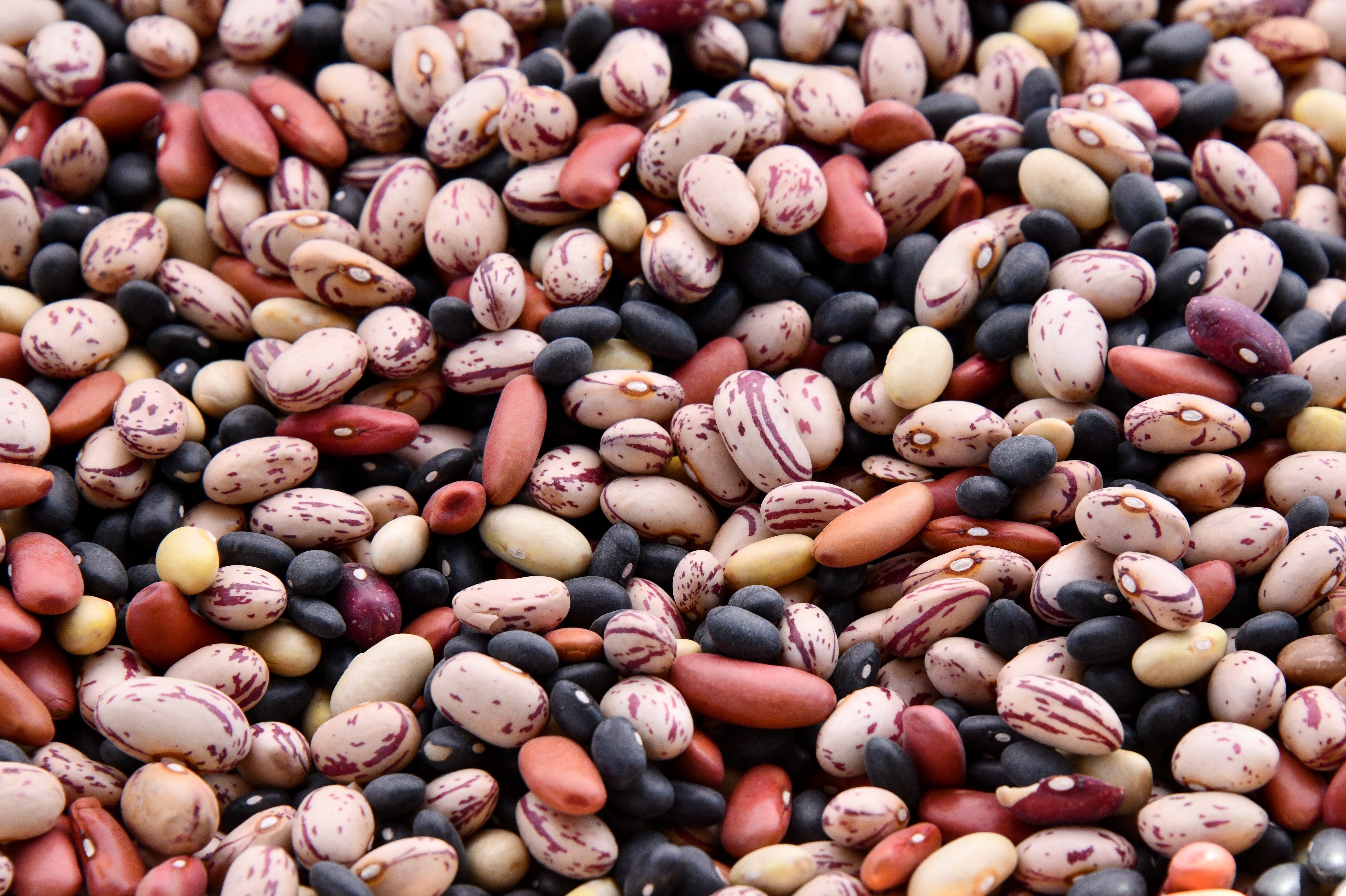 *Still not done counting beans*