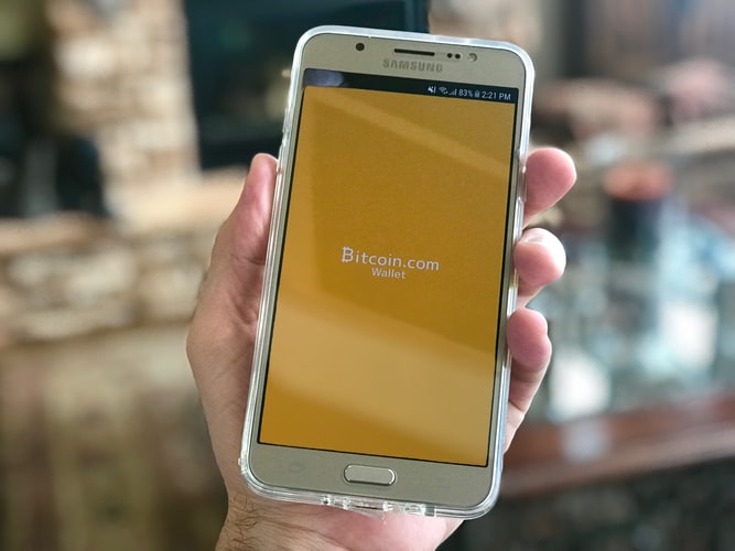 *Legitimate and sustainable bull market or digital scam?*