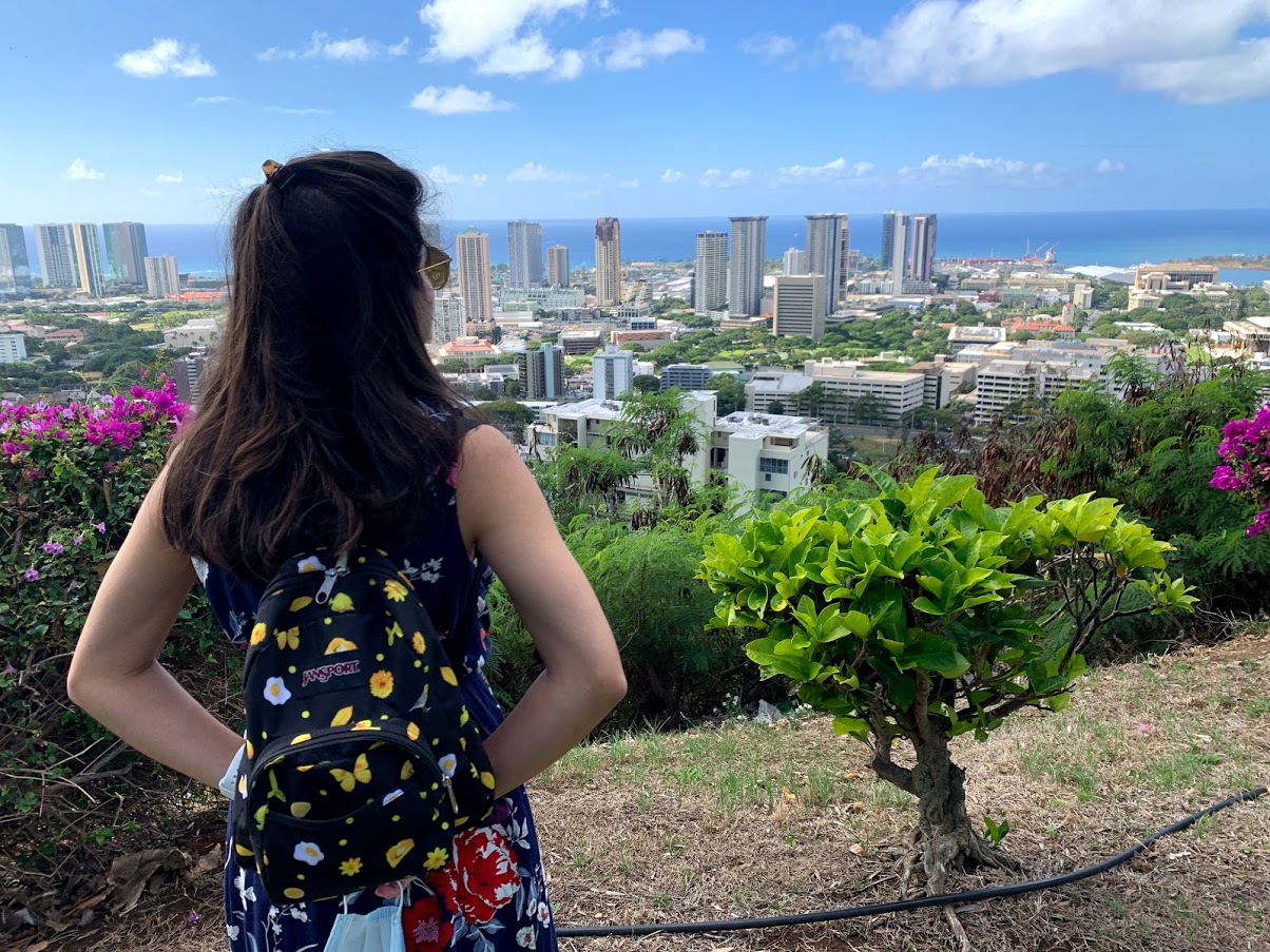 *Panorama of Honolulu from Punchbowl Crater*