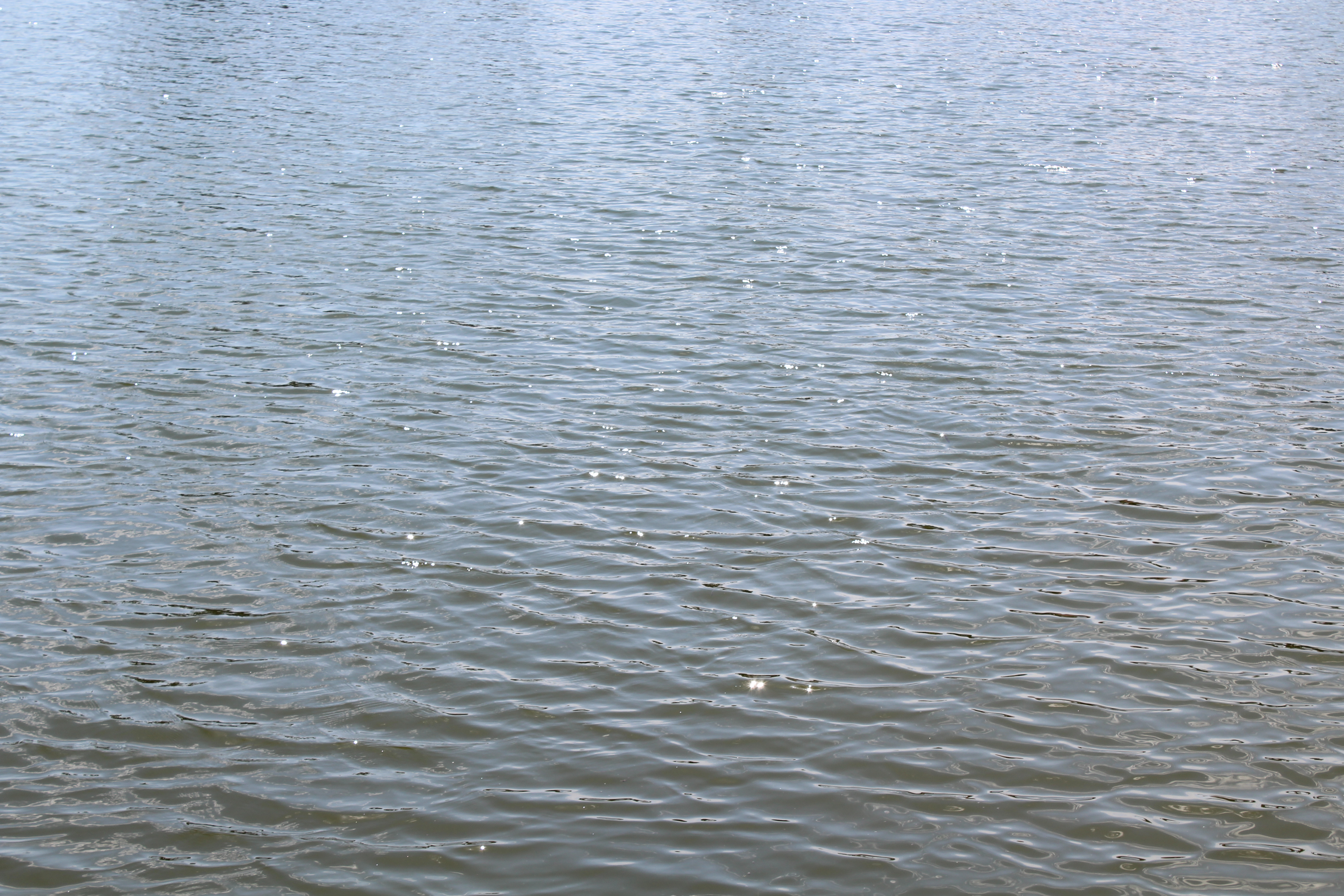 *Afternoon views of the bay from my rickety dock*
