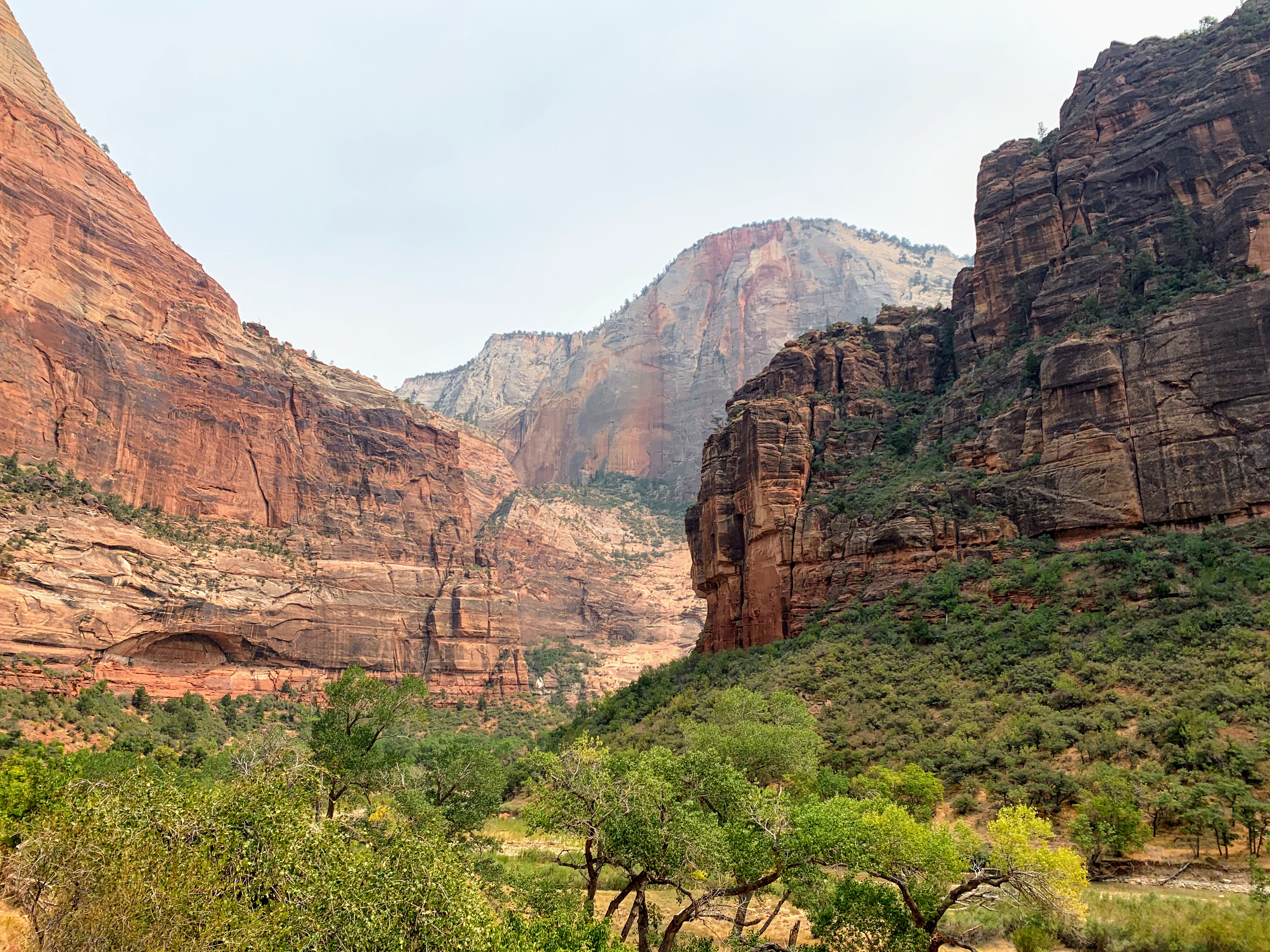 *Until next time, Zion :}*
