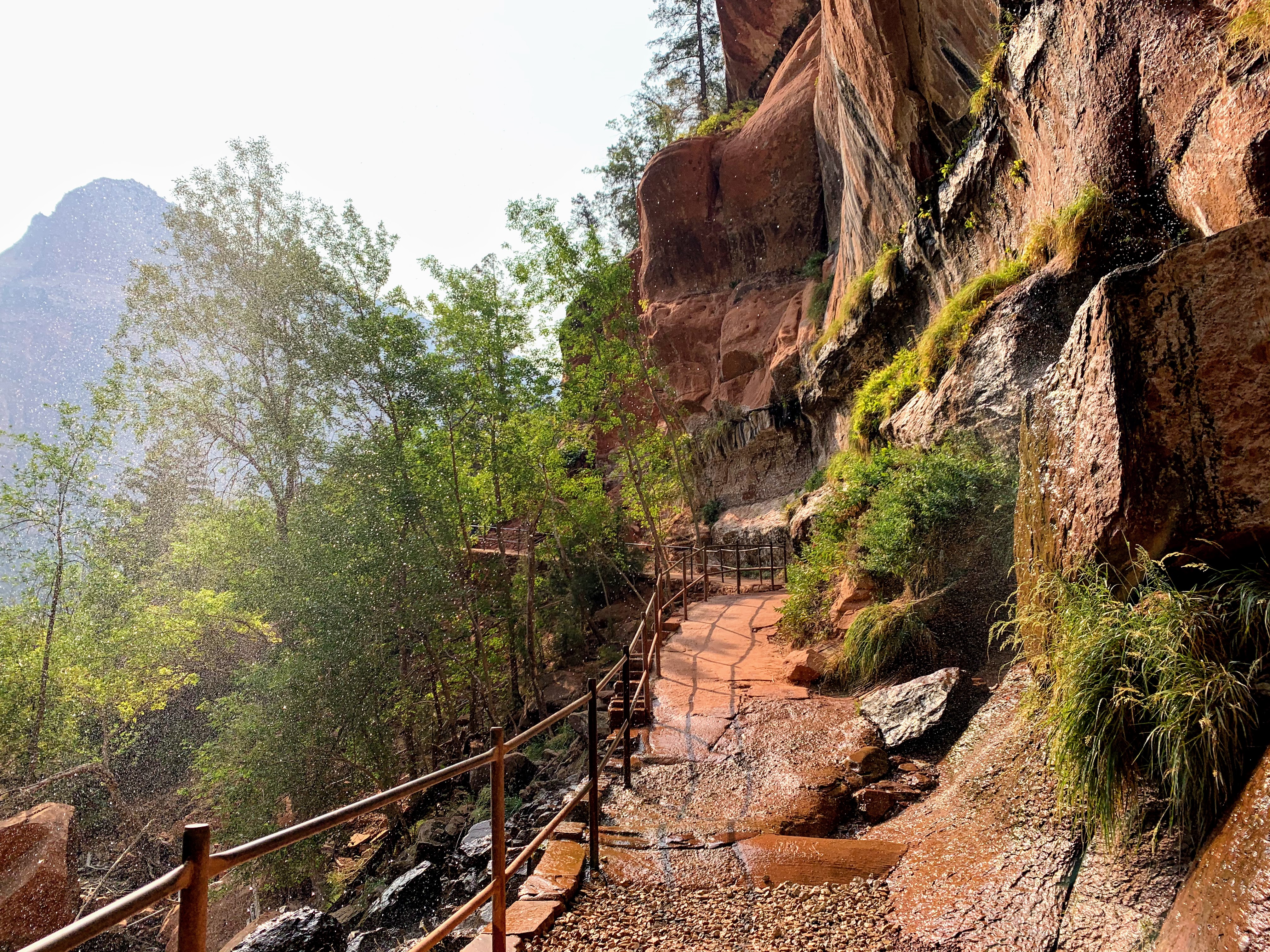 *Lower Emerald Trail in Zion National Park*.